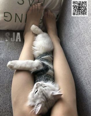 半之半韩剧