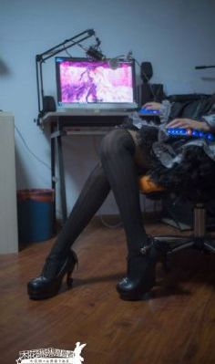 这是我的岛综艺免费观看