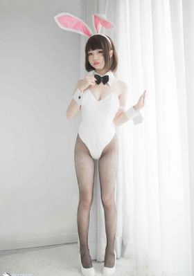 动物神探队