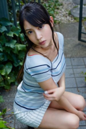 保护特雷斯第二部蜂鸟