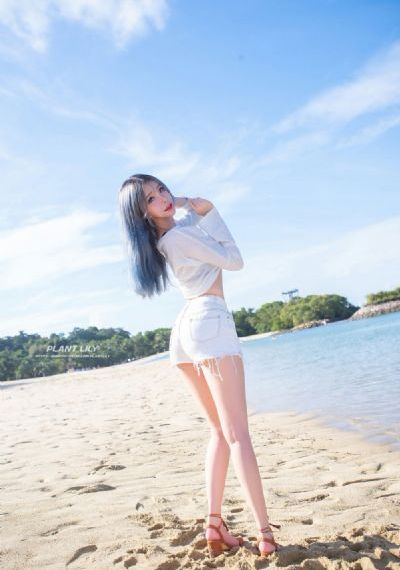 梦想成为魔法少女免费观看全集