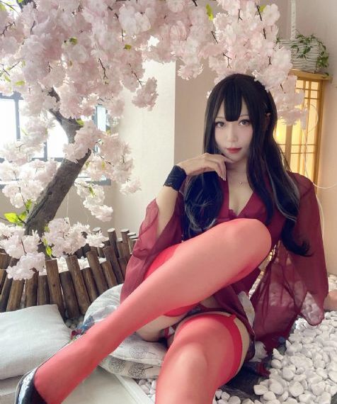 卿卿日常免费观看