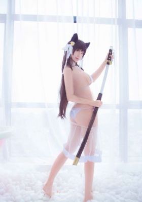 动物园先生