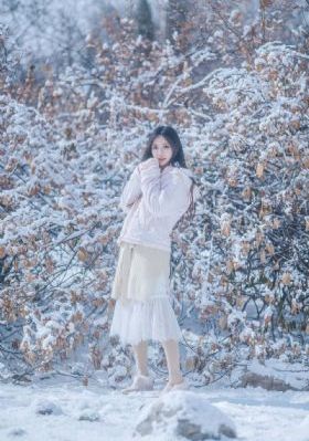 星游记之风暴法米拉